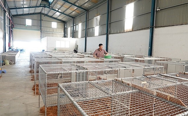 Trại nuôi con đặc sản dúi, don, chồn của ông Chúc được đầu tư rất bài bản. Trại nuôi con đặc sản dúi, don, chồn của ông Chúc được đầu tư rất bài bản.