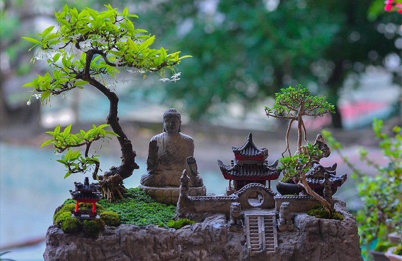 Các video trên kênh Phiêu Du Bonsai mang nhiều kiến thức vừa bổ ích vừa giải trí.