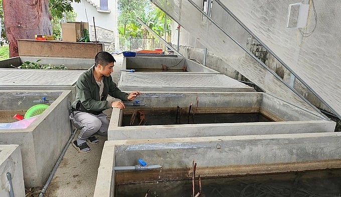 Sau nhiều năm nghiên cứu, anh Thuần đã tìm ra phương pháp nuôi sống loài công trùng có nguy cơ tuyệt chủng, qua được mùa đông.