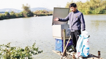 Nuôi con trên bờ kết hợp con dưới nước, bán cho nhà hàng làm đặc sản, nông dân vươn lên làm giàu