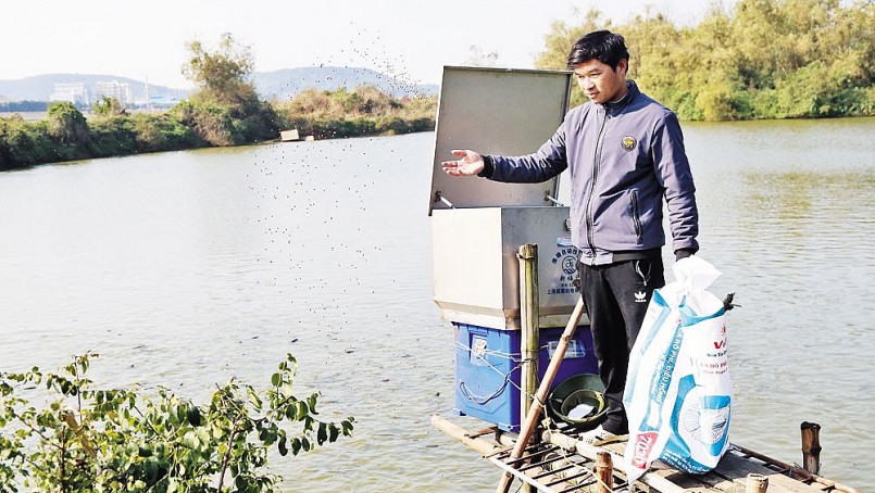 Anh Nguyễn Trung Kiên cho cá ăn