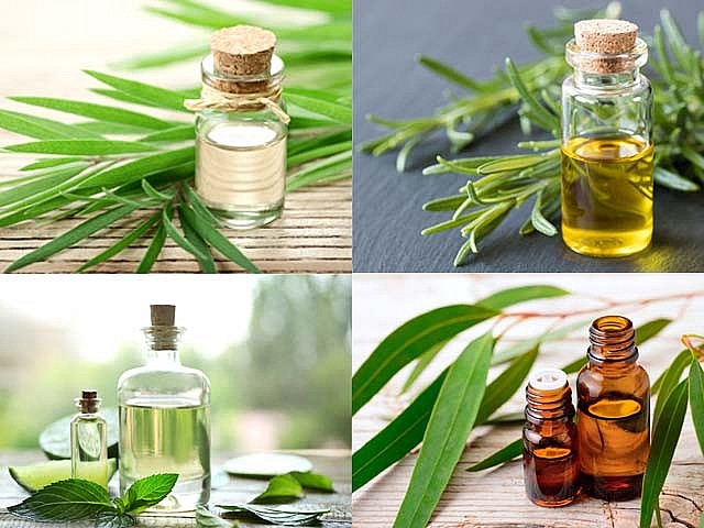 Sử dụng tinh dầu