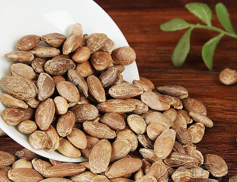 Qua lâu nhân có tác dụng chữa bệnh lao phổi