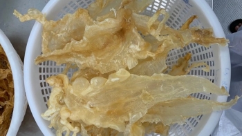 Bộ phận của con cá thường bị vứt bỏ hoá ra lại vô cùng bổ dưỡng, có loại giá 1 tỷ đồng/kg