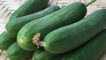 Loại quả dân dã lại mang lợi ích “vàng” cho sức khoẻ, ăn sống cực ngon, xào tỏi ăn cực đã