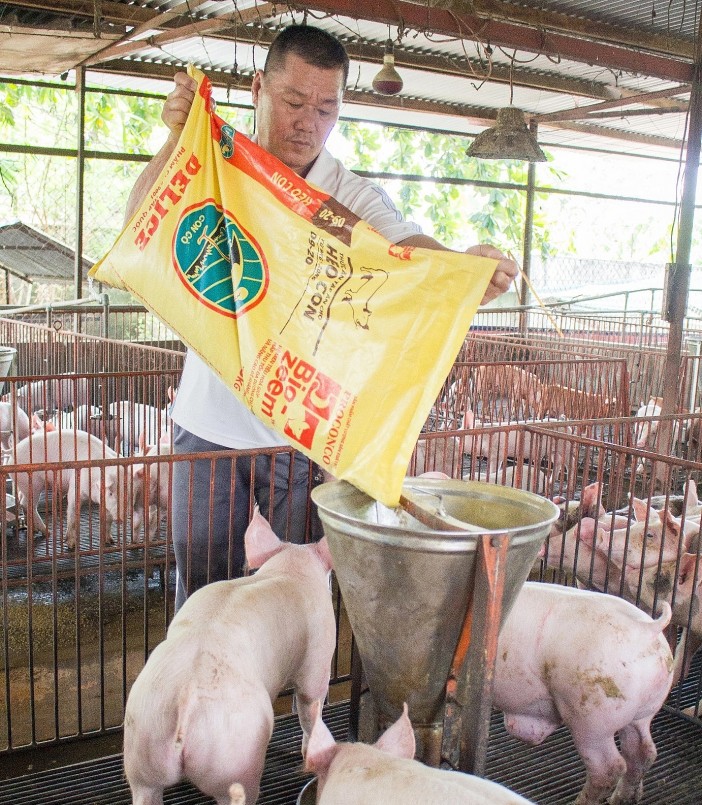 Giá heo hơi giảm sâu, người dân và doanh nghiệp đều thua lỗ nặng.