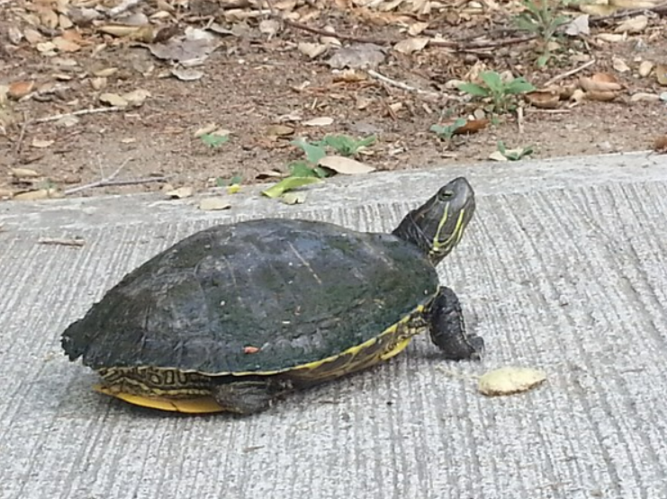 Giấc mơ may mắn về tiền bạc nếu mơ thấy nhất định phải nắm bắt ngay