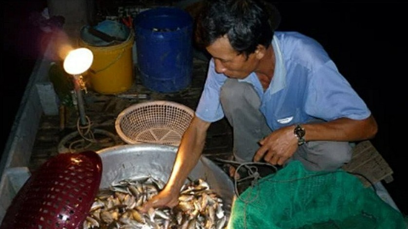 3 loại cá có tên sỗ sàng, giờ trở thành đặc sản được dân thành phố thích thú thưởng thức