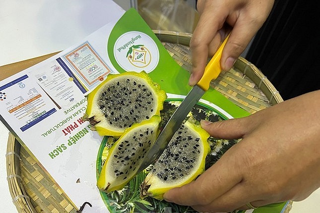 Thanh long tổ yến có vị ngọt, hạt khá nhiều và to gần bằng hạt chanh dây.