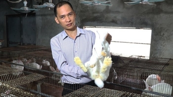 Bỏ túi gần 1 tỷ đồng mỗi năm, anh nông dân "làng Quan Họ" lộ tuyệt chiêu nuôi thỏ