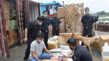 Ngành Hải quan xử lý 1.259 vụ việc vi phạm về buôn lậu, gian lận thương mại