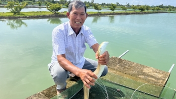 Loài cá đặc sản nhìn như lươn khổng lồ, nuôi 18 tháng bán 550.000 đồng/kg, nhà nông thu tiền tỷ