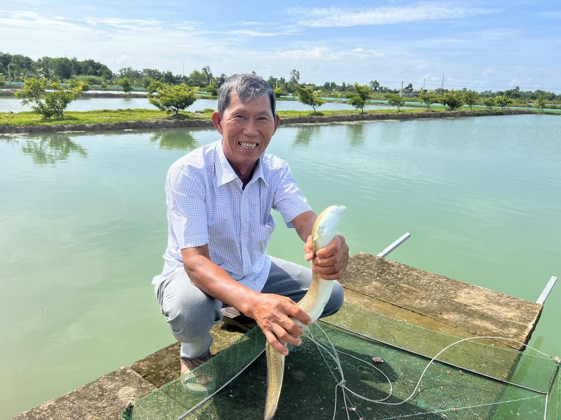 Cá chình nuôi khoảng 18 tháng có thể thu hoạch Cá chình nuôi khoảng 18 tháng có thể thu hoạch
