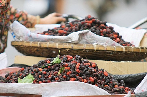 Một khẩu phần nhỏ dâu tằm cũng gần như cung cấp đủ nhu cầu vitamin C trong ngày