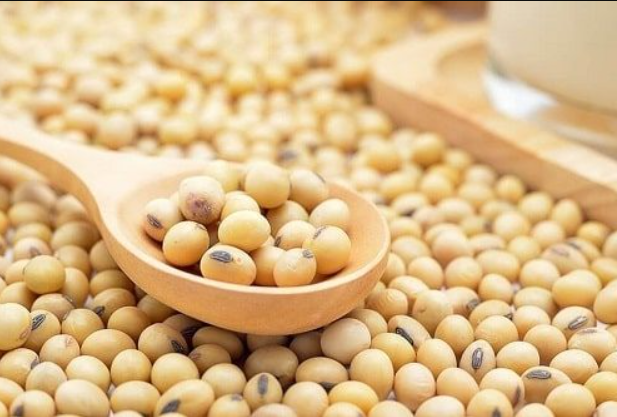 Đậu nành thuộc nhóm thực phẩm nhiều chất béo không bão hòa đa