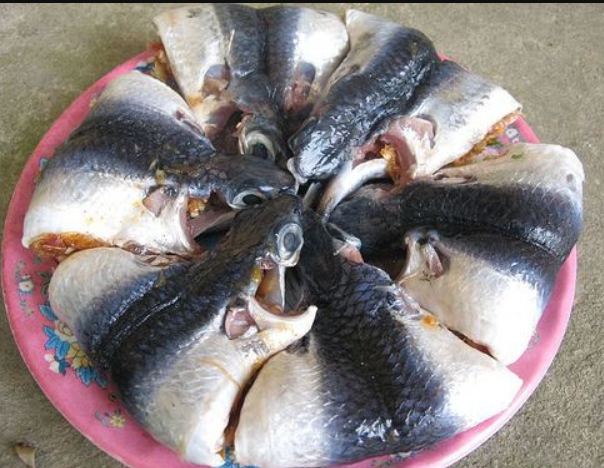 Chọn những con cá chuồn tươi ngon nhất Chọn những con cá chuồn tươi ngon nhất