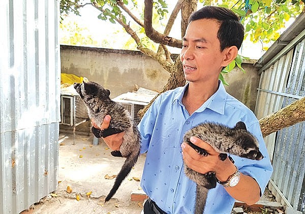 Năm 2022 vừa qua, anh đã xuất bán hơn 219 con chồn giống và chồn thương phẩm, mang lại doanh thu gần 2 tỉ đồng. 