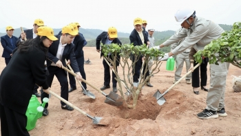 Phát động trồng cây phủ xanh 16 ha dự án sân golf tại tỉnh Phú Thọ