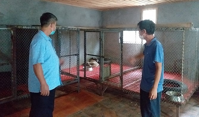 Mô hình nuôi cầy hương, cầy vòi mốc của ông Thân được đánh giá cao.