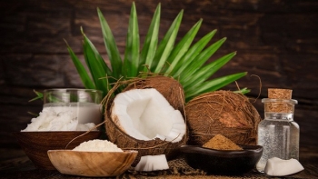 Các lợi ích tuyệt vời khiến mọi người phát cuồng vì dừa