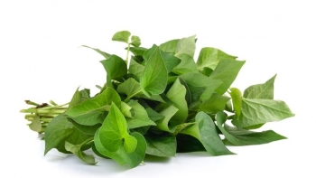 Thứ rau gia vị bị chê tanh như cá lại có tác dụng kinh ngạc với sức khoẻ