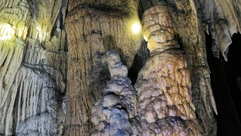 Khai thác tiềm năng du lịch động Nam Sơn