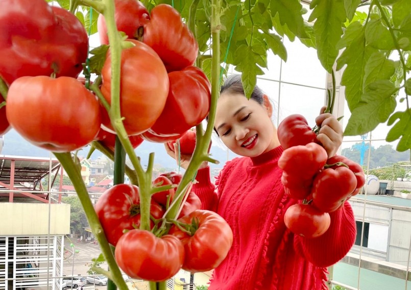 Choáng với vườn rau sân thượng của mẹ trẻ phố núi, nhiều loại hơn cả siêu thị.