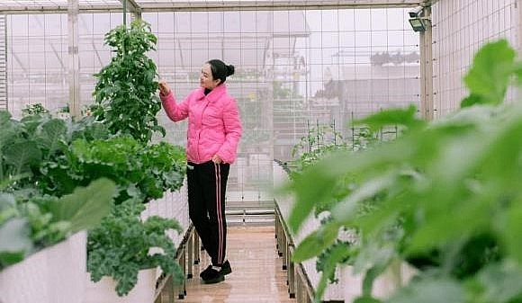 Choáng với vườn rau sân thượng của mẹ trẻ phố núi, nhiều loại hơn cả siêu thị.