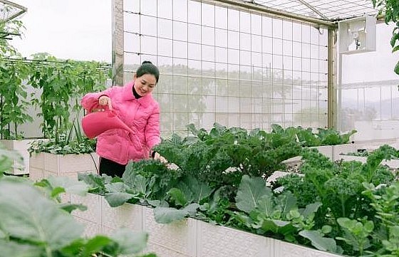 Choáng với vườn rau sân thượng của mẹ trẻ phố núi, nhiều loại hơn cả siêu thị.