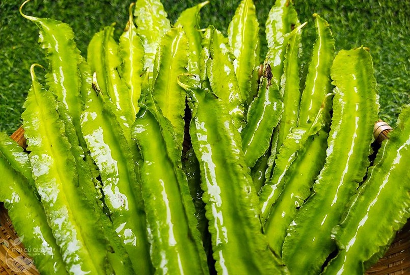 Đậu rồng (có nơi gọi là đậu khế, đậu xương rồng, đậu cánh) Đậu rồng (có nơi gọi là đậu khế, đậu xương rồng, đậu cánh)