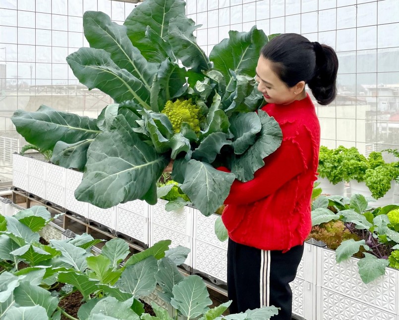 Niềm vui bên những luống rau xanh, quả ngọt trên sân thượng, thành quả của niềm đam mê và sự kiên trì.