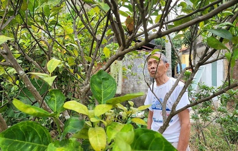 Ông Súy và cây cam được dùng để nhân giống, hồi sinh giống cam tiến vua của làng Đồng Dụ.