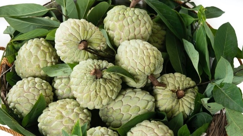 Quy định mới của EU về dư lượng arsen, hoạt chất isoxaben, novaluron áp dụng trên nông sản, thực phẩm