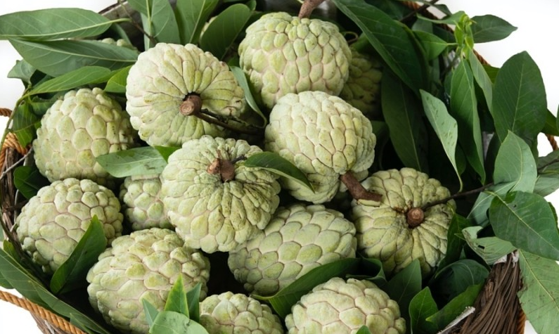 Quy định mới của EU về dư lượng arsen, hoạt chất isoxaben, novaluron áp dụng trên nông sản, thực phẩm