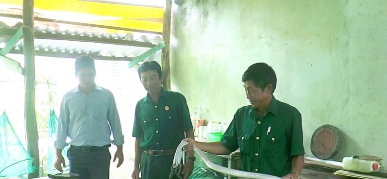 Ông Đỗ Hoàng Hôn giới thiệu về mô giới thiệu về mô hình nuôi rắn hổ hèo của gia đình hình nuôi rắn hổ hèo của gia đình. Ông Đỗ Hoàng Hôn giới thiệu về mô giới thiệu về mô hình nuôi rắn hổ hèo của gia đình hình nuôi rắn hổ hèo của gia đình.