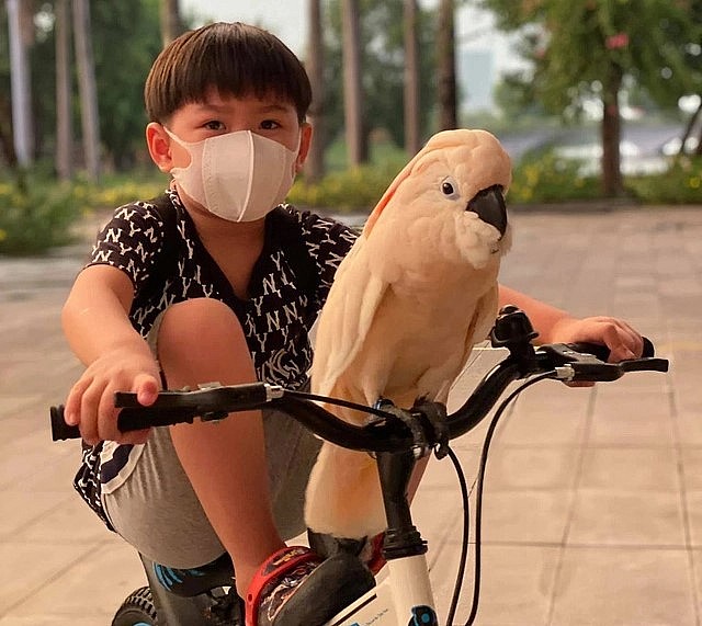 Cậu con trai là khởi nguồn bắt đầu cho niềm đam mê nuôi vẹt cảnh của gia đình chị Linh. Cậu con trai là khởi nguồn bắt đầu cho niềm đam mê nuôi vẹt cảnh của gia đình chị Linh.