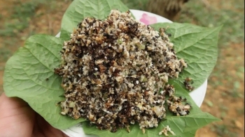 Những đặc sản không phải lúc nào cũng được thưởng thức khi đến Yên Bái