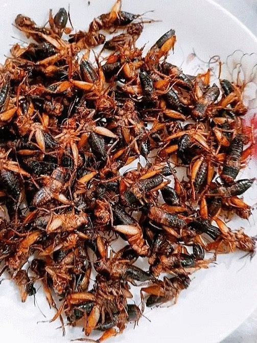 Những đặc sản không phải lúc nào cũng được thưởng thức khi đến Yên Bái