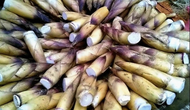 Những đặc sản không phải lúc nào cũng được thưởng thức khi đến Yên Bái