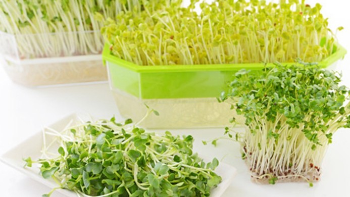 Những loại rau củ được đồn tốt như "thần dược", ăn sống tốt hơn ăn chín