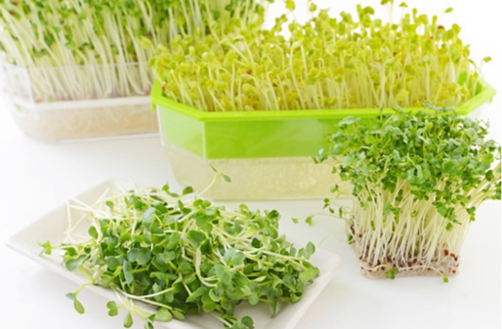 Những loại rau củ được đồn tốt như "thần dược", ăn sống tốt hơn ăn chín Những loại rau củ được đồn tốt như "thần dược", ăn sống tốt hơn ăn chín