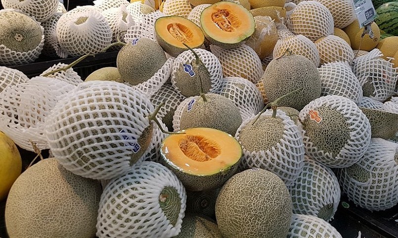 Trái dưa lưới được thị trường ưa chuộng và có giá trị kinh tế cao. Trái dưa lưới được thị trường ưa chuộng và có giá trị kinh tế cao.