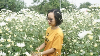 Kinh ngạc khi loài hoa báo đông xứ Bắc nở lộng lẫy trong sắc nắng Đà Thành