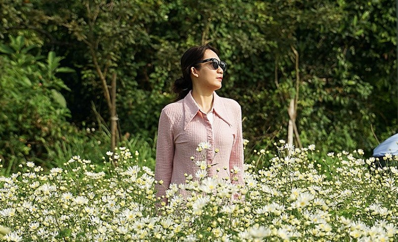 Du khách khắp nơi tìm về thưởng lãm và có những bức ảnh đẹp bên cúc họa mi.