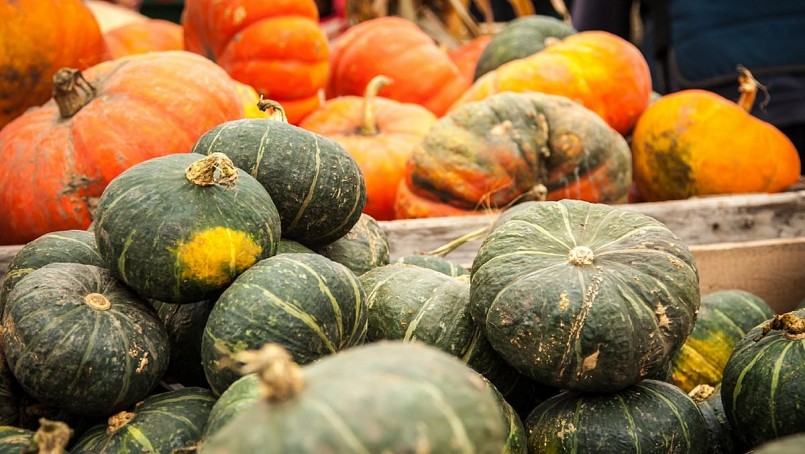 Bí ngô (bí đỏ, bí rợ