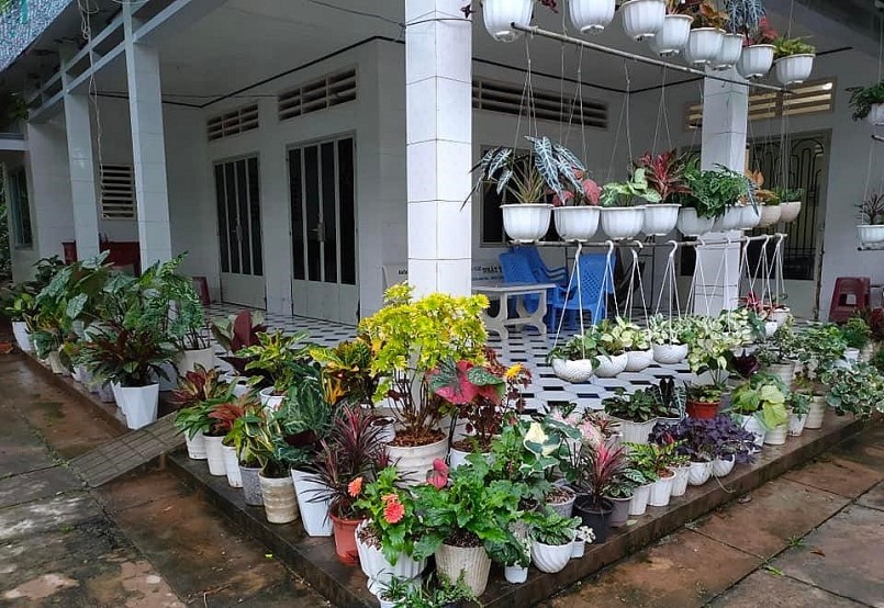 Vườn kiểng lá được chị Nghi kỳ công sưu tầm trồng tại nhà.