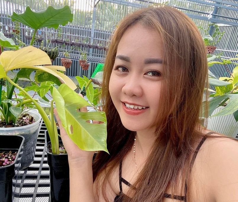 Chơi kiểng lá giúp Hạnh điềm tĩnh hơn.