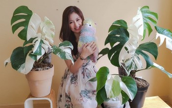 Thứ là bạc màu, thủng rách bất ngờ có giá tiền triệu, bí quyết săn hàng hiếm