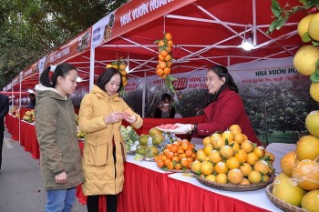 Hưng Yên tập trung cải thiện 3 động lực tăng trưởng