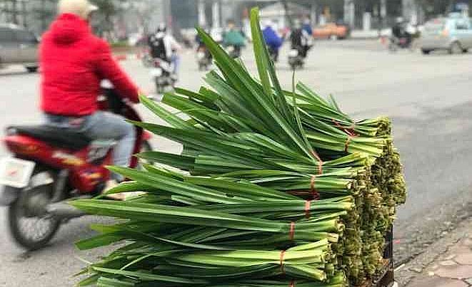 Lá dứa thơm được bày bán tại đường phố Hà Nội.